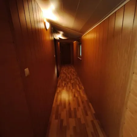 Pod Witowem * Niedźwiedź